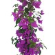Bougainvillea Roz 1.30 - 1.50 m Bougainvillea Roz 1.30 - 1.50 m