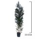 Chiparos Leylandi 2.3-2.5 m (Cupressocyparis leylandii) Chiparos Leylandi 2.3-2.5 m (Cupressocyparis leylandii)